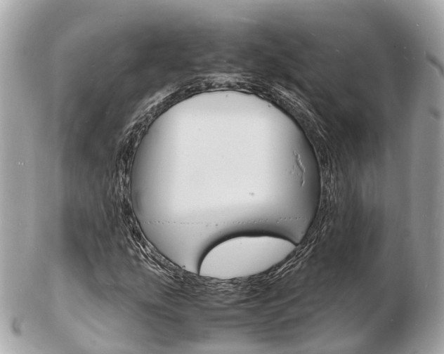 X0000103291207200808291100