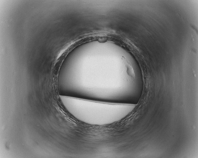 X0000103291208200808291100