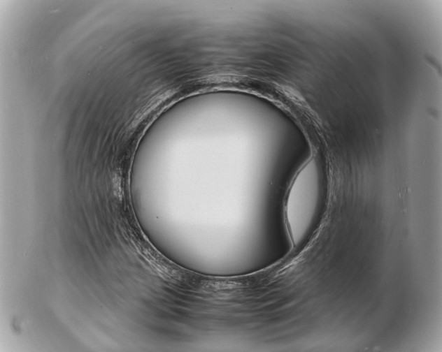 X0000103291209200808291100