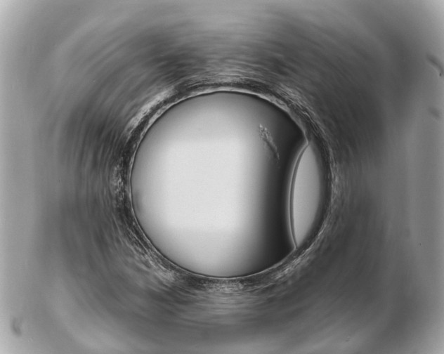 X0000103291210200808291100