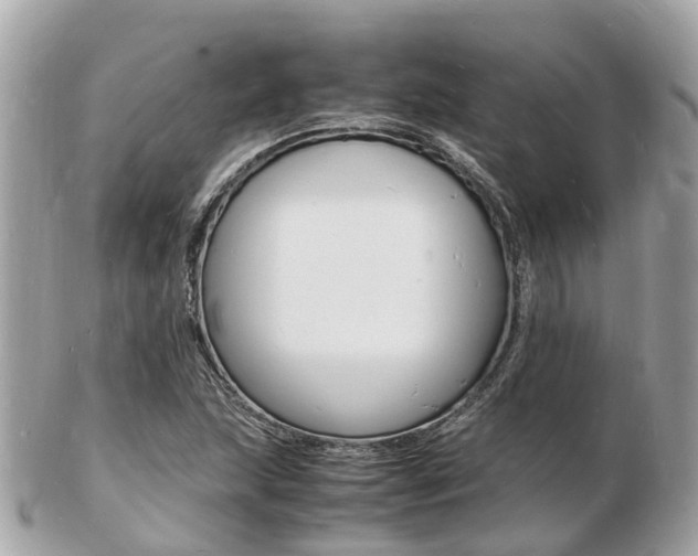X0000103291215200808291100