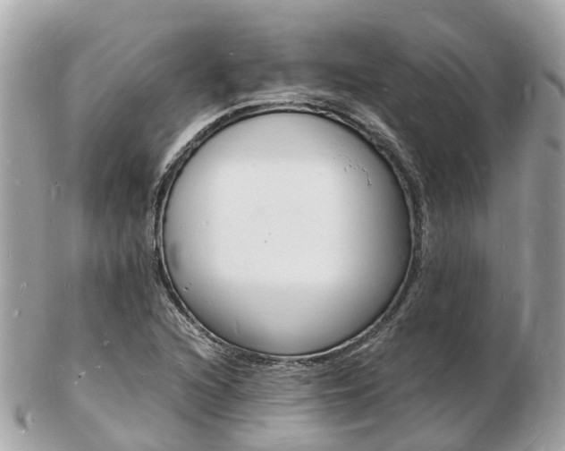 X0000103291216200808291100