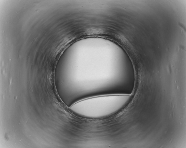X0000103291217200808291100