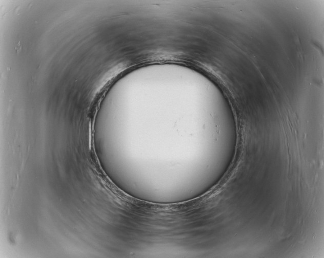 X0000103291219200808291100