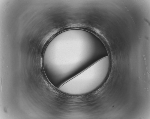 X0000103291221200808291100