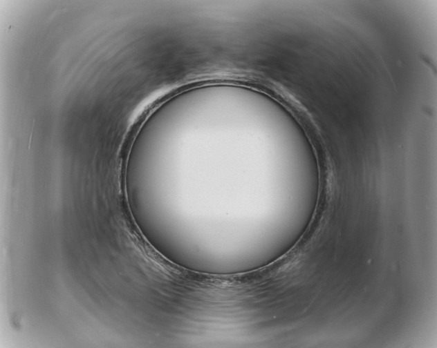 X0000103291222200808291100