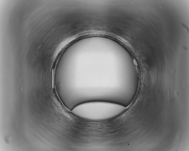 X0000103291223200808291100