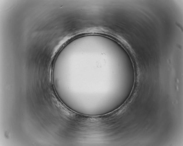 X0000103291224200808291100