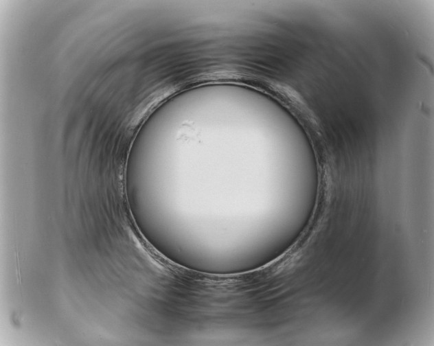 X0000103291225200808291100
