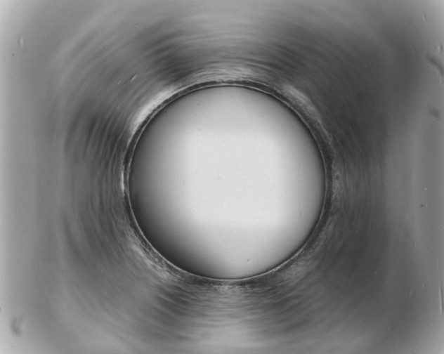 X0000103291226200808291101