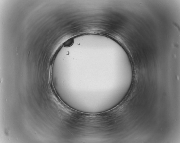 X0000103291227200808291101