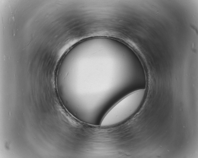 X0000103291230200808291101