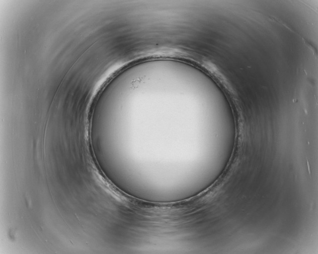 X0000103291232200808291101