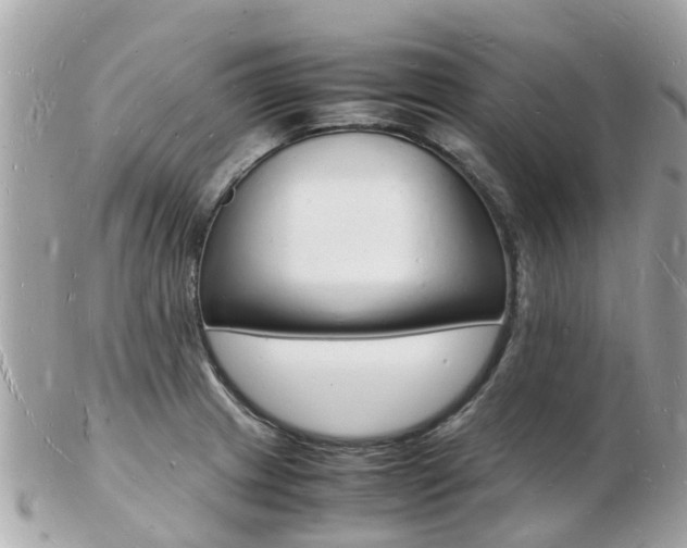 X0000103291233200808291101