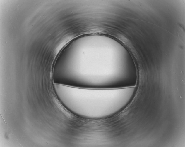 X0000103291234200808291101