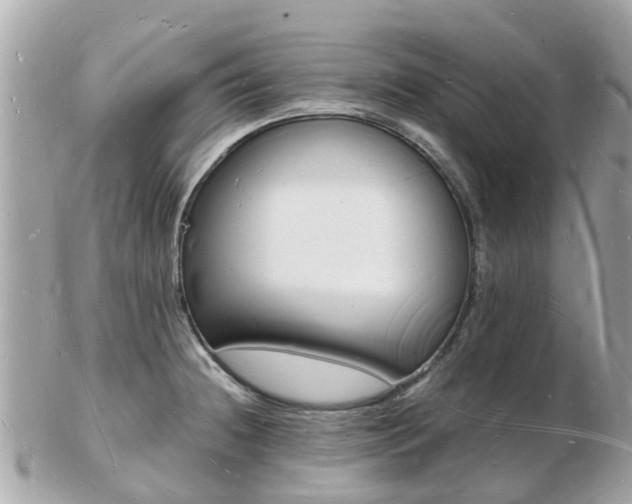 X0000103291236200808291101