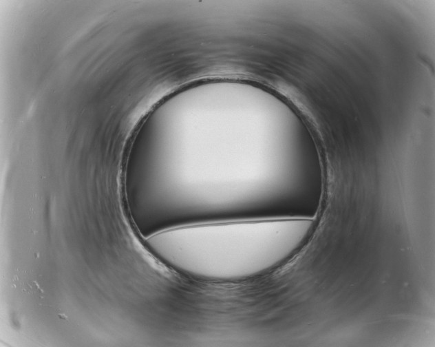 X0000103291237200808291101