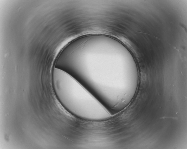 X0000103291238200808291101