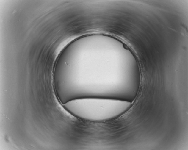 X0000103291239200808291101