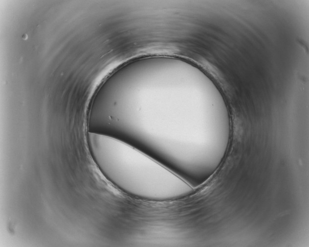 X0000103291240200808291101