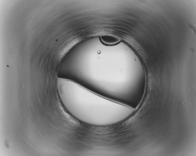X0000103291241200808291101