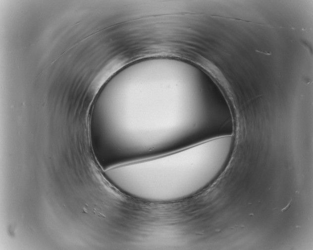 X0000103291242200808291101