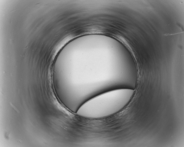 X0000103291243200808291101