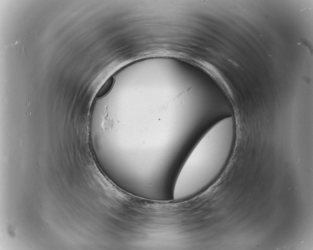 X0000103291244200808291101