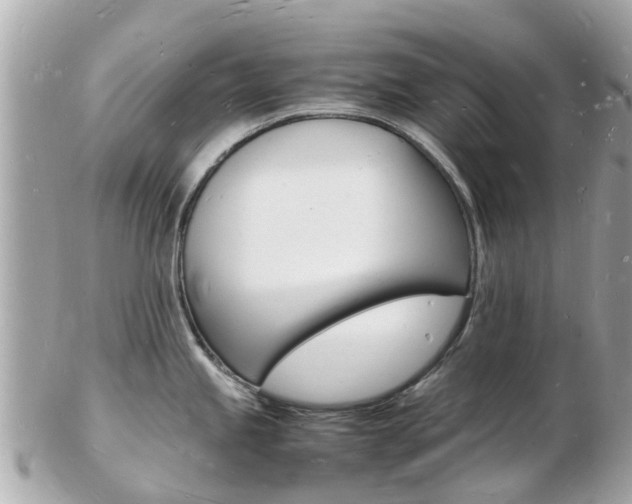 X0000103291245200808291101