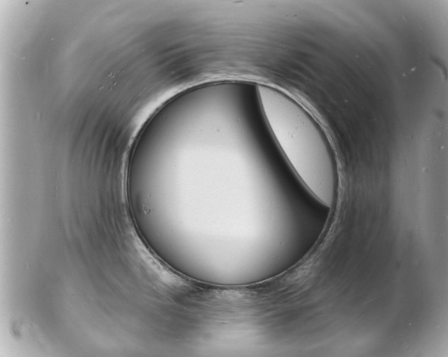 X0000103291246200808291101