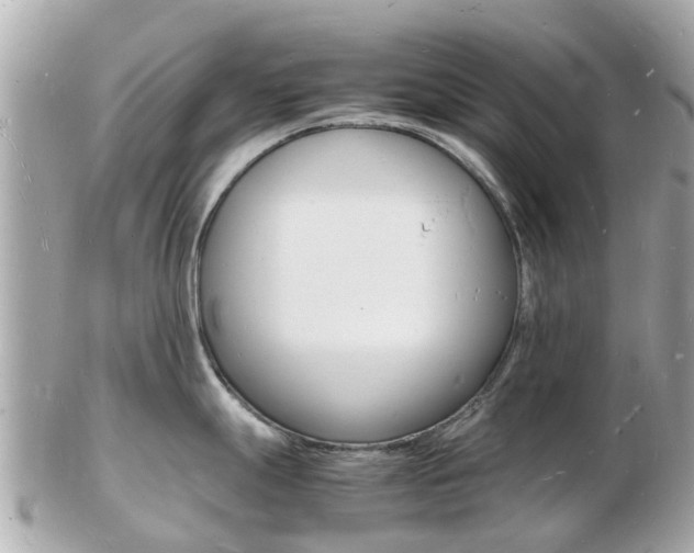 X0000103291247200808291101