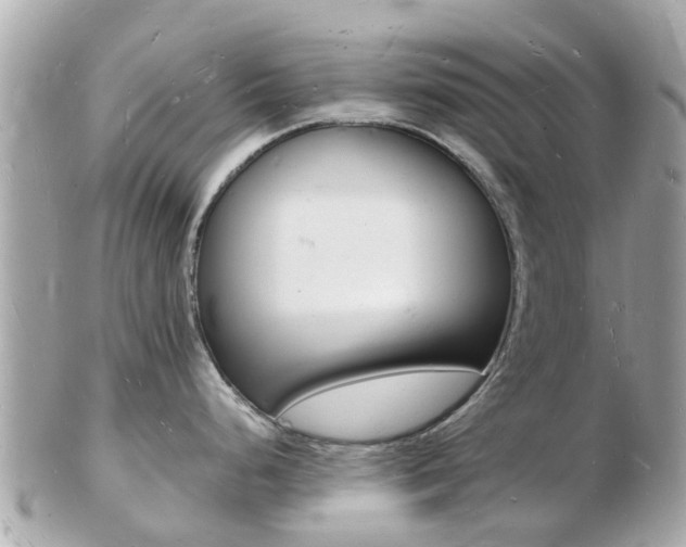 X0000103291248200808291101
