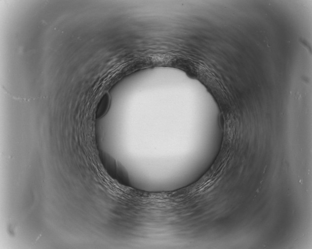 X0000103291249200808291100
