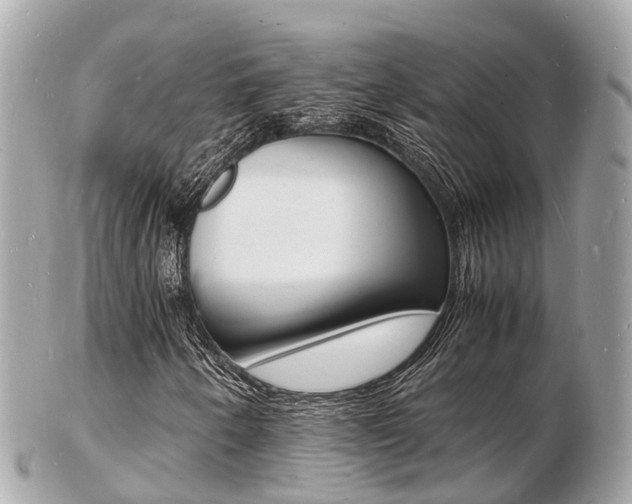 X0000103291250200808291100