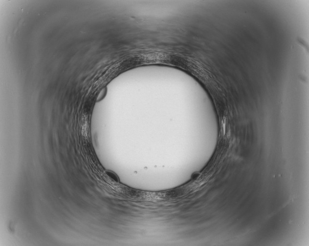 X0000103291251200808291100