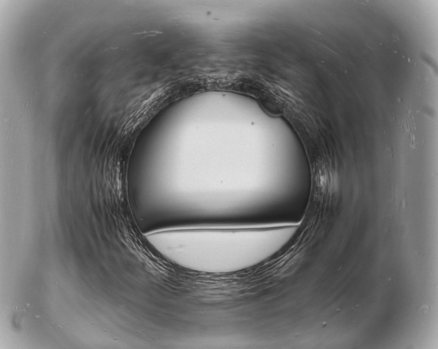 X0000103291252200808291100