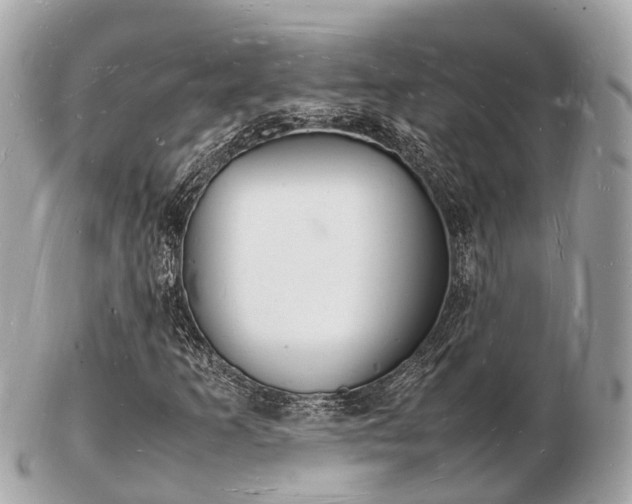 X0000103291253200808291100