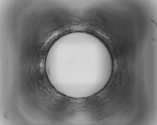 X0000103291254200808291100