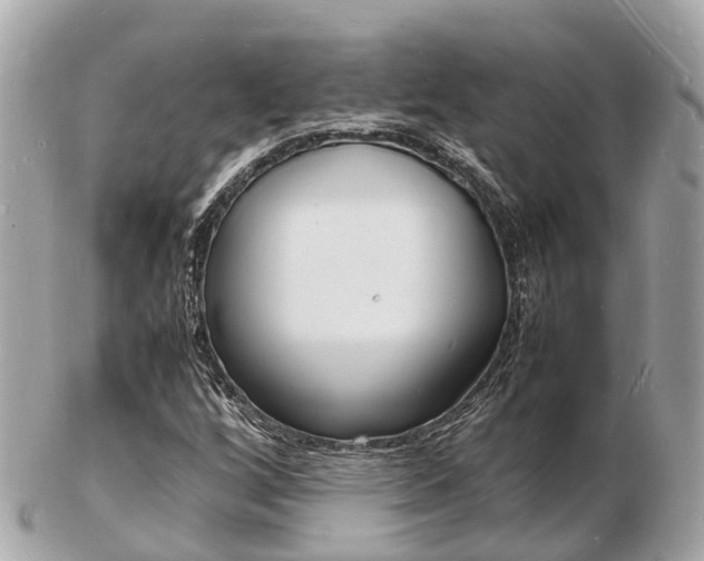 X0000103291256200808291100