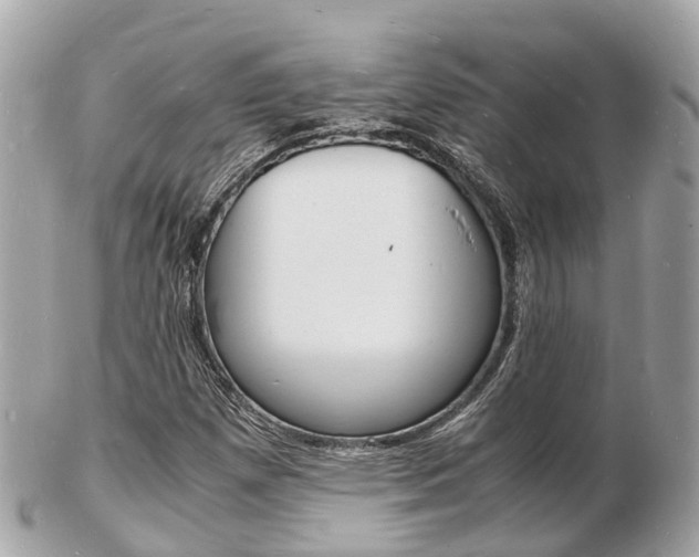 X0000103291257200808291100