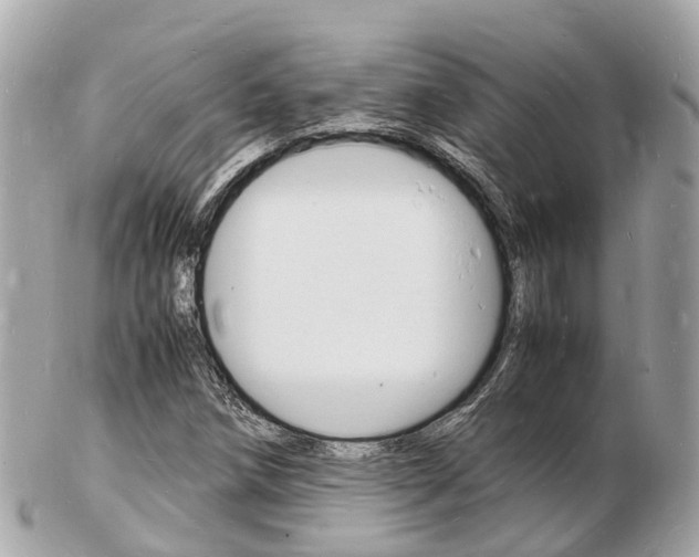 X0000103291258200808291100