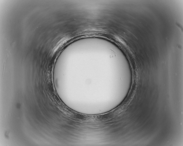 X0000103291259200808291100