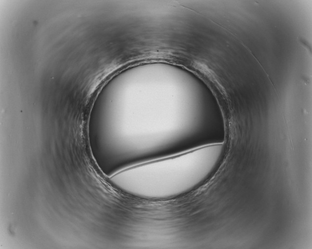 X0000103291260200808291100