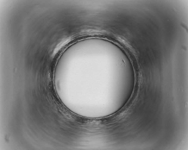 X0000103291261200808291100