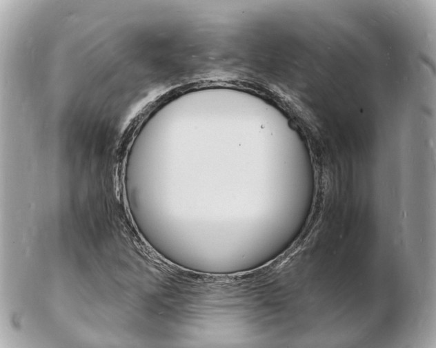 X0000103291262200808291100