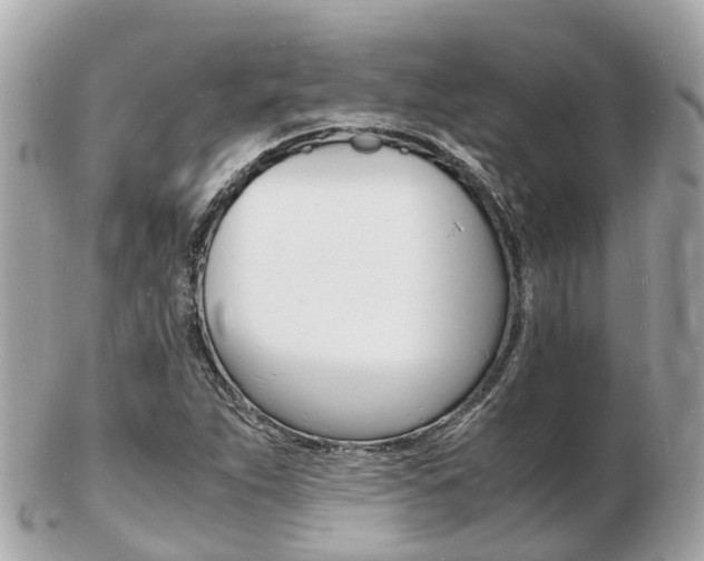 X0000103291263200808291100