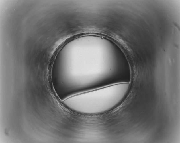 X0000103291264200808291100
