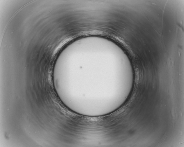X0000103291266200808291100