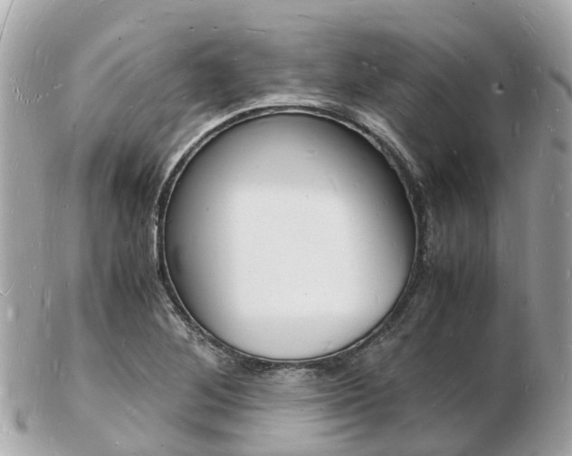 X0000103291268200808291100