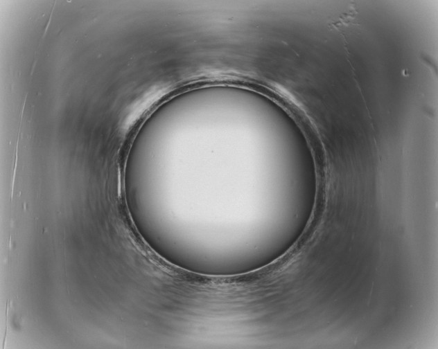 X0000103291269200808291100